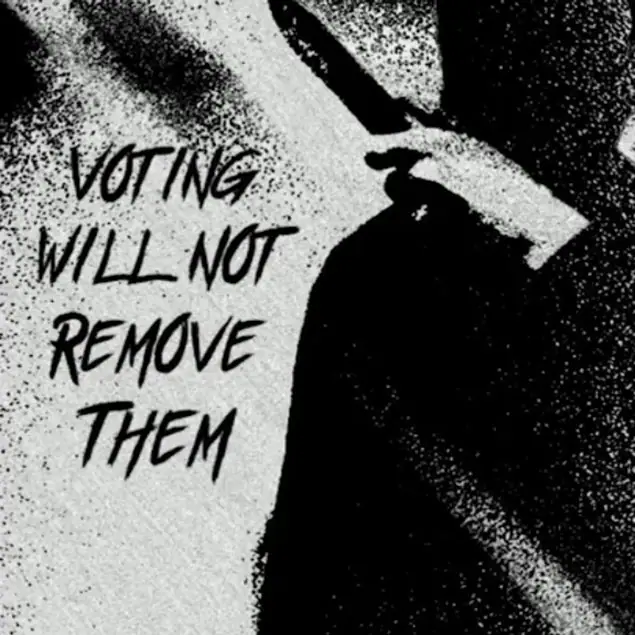 Voting will not Remove Them