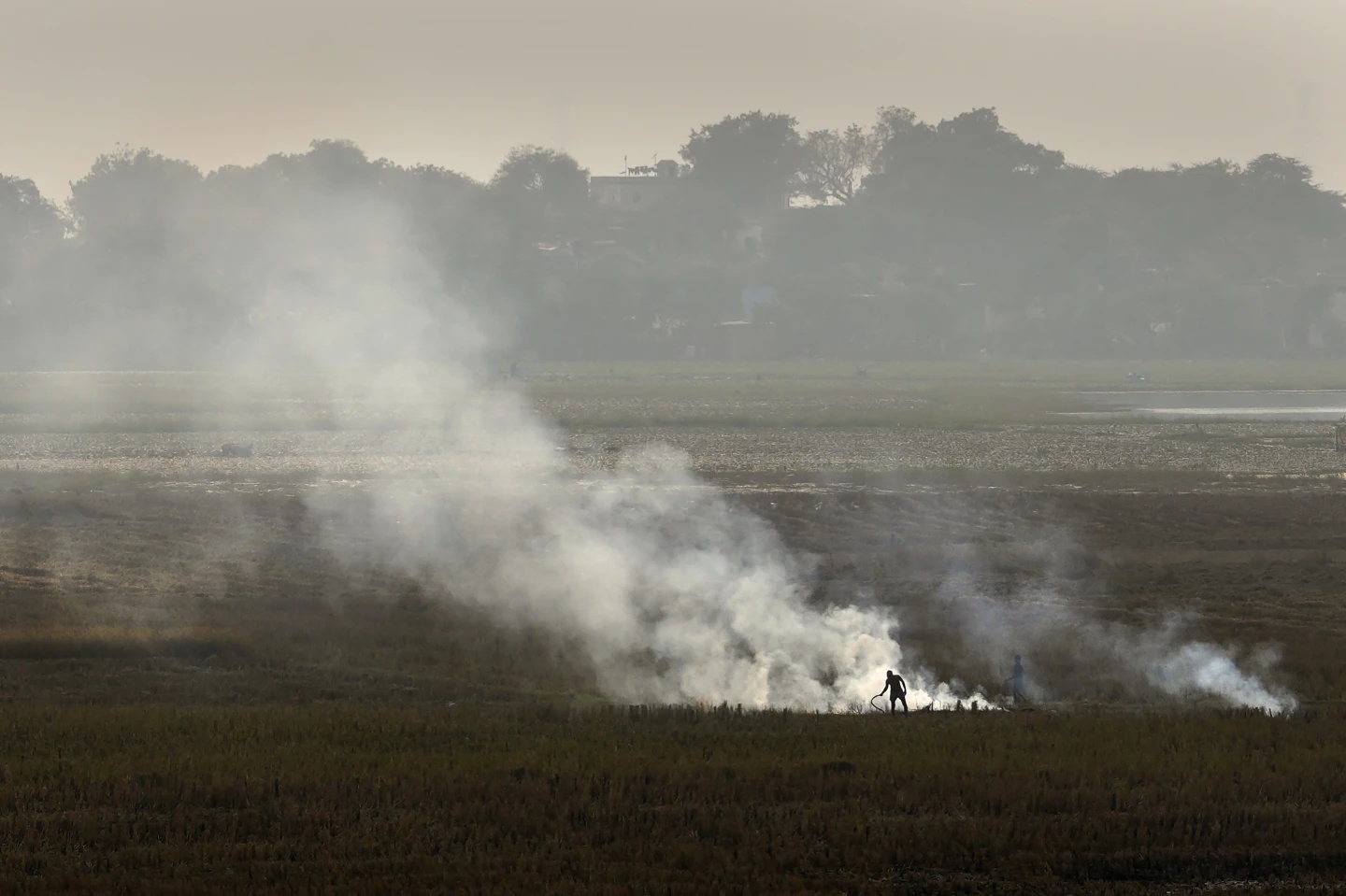 farmer burns crop Bundelkhand