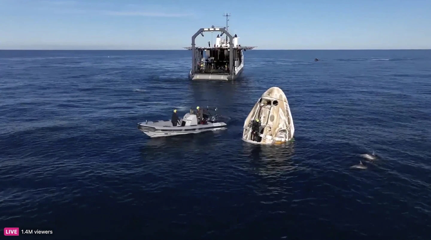 spaceX shows dolphins swimming