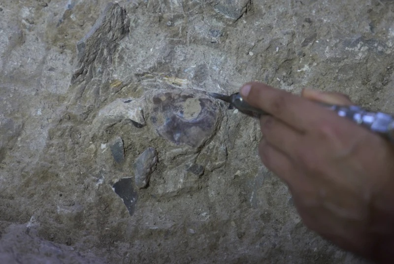 A 100,000-year-old burial site in Israel is changing what we know about early humans 2 we know about early humans 03
