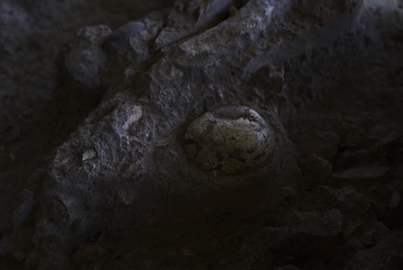 A 100,000-year-old burial site in Israel is changing what we know about early humans 4 we know about early humans 05