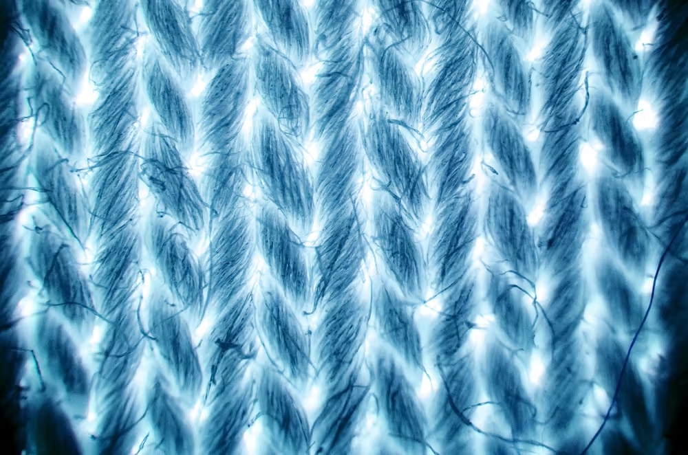 Why do some clothes shrink in the wash? A textile scientist explains how to ‘unshrink’ them 2 some clothes shrink 02