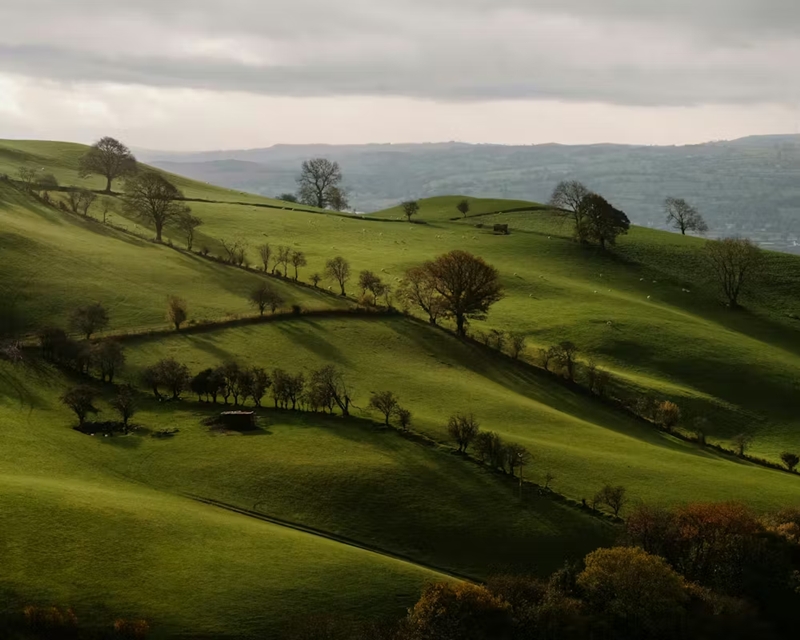 Impossible translations: why we struggle to translate words when we don’t experience the concept 1 Welsh Hiraeth