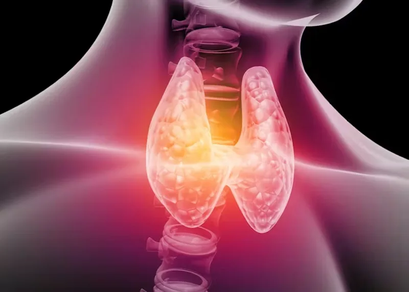 Five health conditions mothers can develop after giving birth 1 thyroid gland