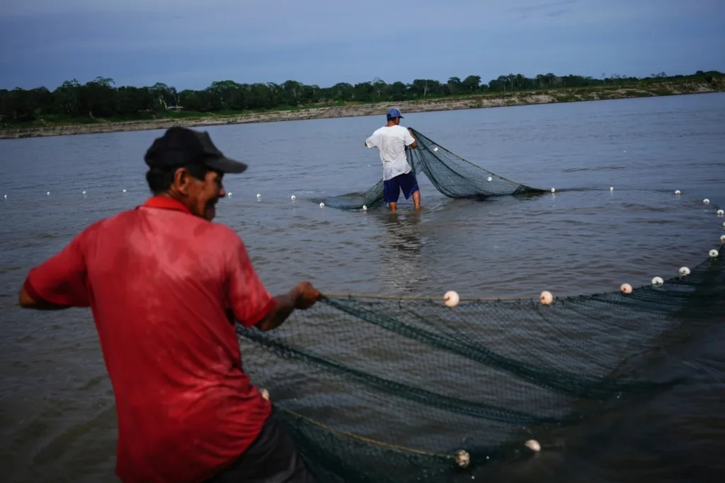 Colombia’s vote may reshape the Amazon’s future as political winds shift across Latin America 5 The Amazons future 06