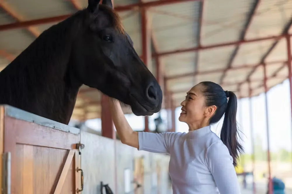 Why do humans use ‘baby voice’ when we speak to pets? 2 baby talk seems to work on horses