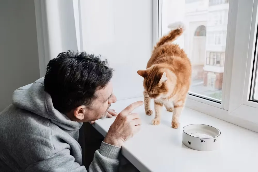 Why do humans use ‘baby voice’ when we speak to pets? 1 naturally speak more warmly
