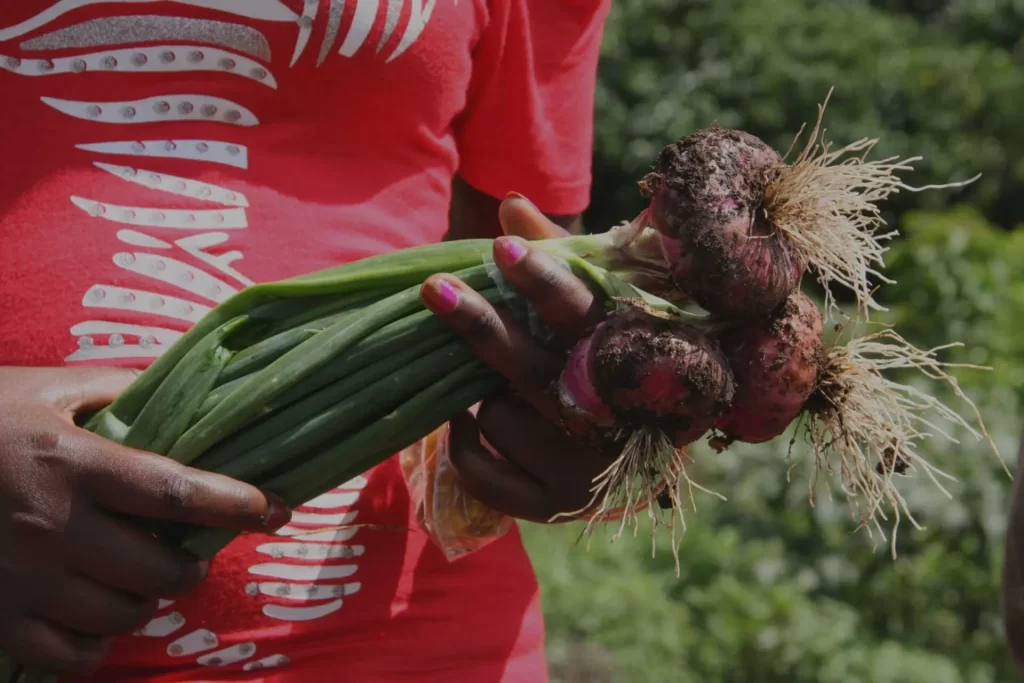 India imposes curfew in strife-hit areas of Manipur state 2 AAAAA