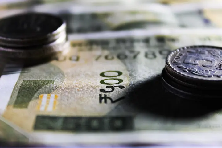 Pets bring joy, but caring for them can be costly 4 Currency