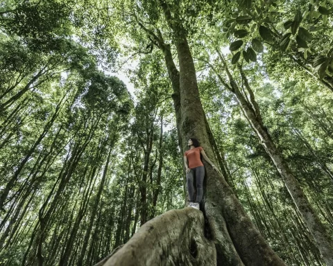 Keeping your cool in a warming world: 8 steps to help manage eco-anxiety