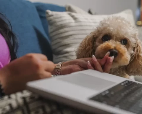 Pets bring joy, but caring for them can be costly