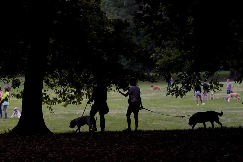 Pets bring joy, but caring for them can be costly 1 Dog owners and their dogs mingle in the early morning in Prospect Park, Thursday, Aug. 24, 2023, in New York. (AP Photo/Bebeto Matthews)