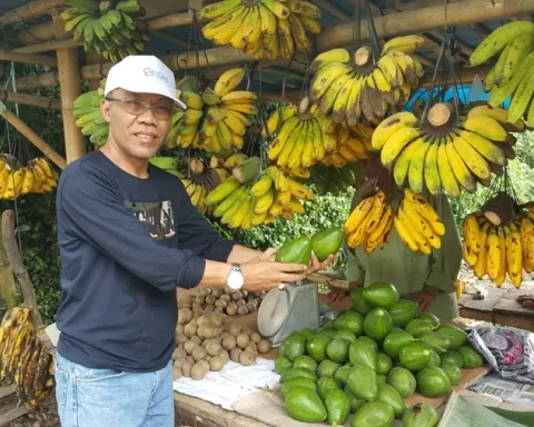 Potassium rich foods can help lowering blood pressure, keep heart healthy