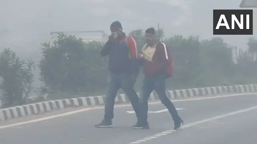 Dense fog continues to cover cities as winter grips North India 1 Prayagraj