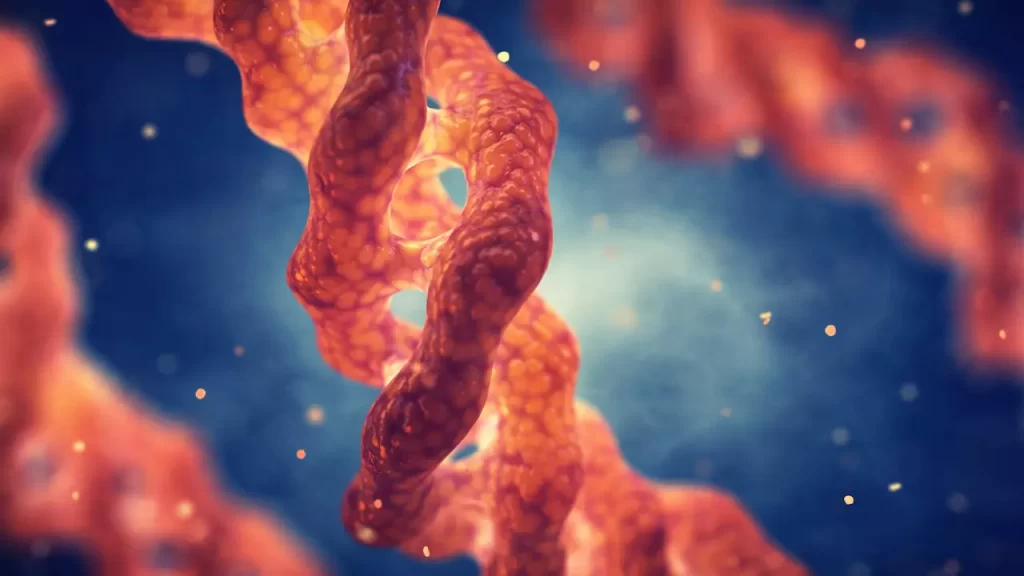 Could protecting our proteins help us prevent ageing? 2 Triple helix of collagen