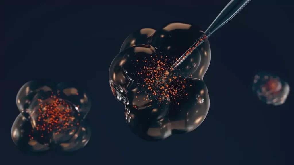 Could protecting our proteins help us prevent ageing? 3 file 20231011 23 at0nwd 65c5d331bdaf5