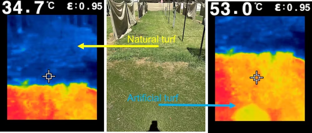 How to make your backyard safer and cooler next summer? 1 Thermal imaging