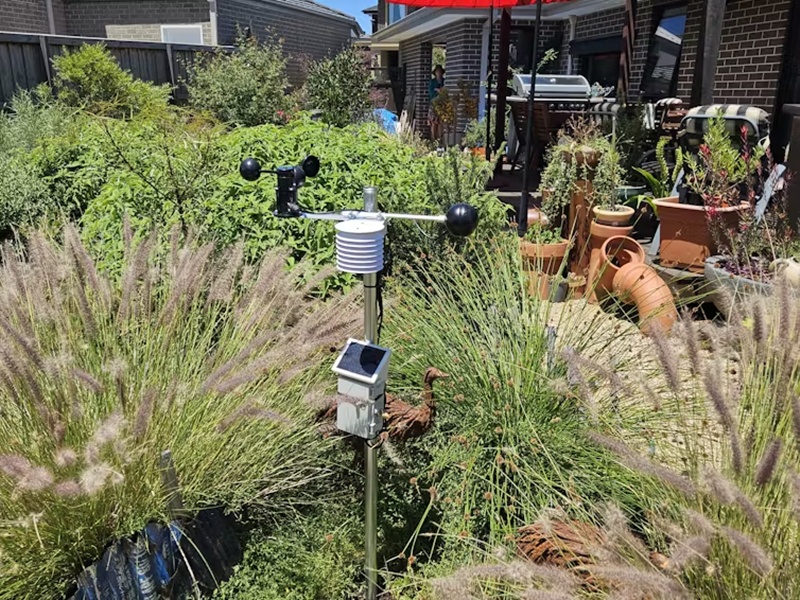 How to make your backyard safer and cooler next summer? 3 your backyard