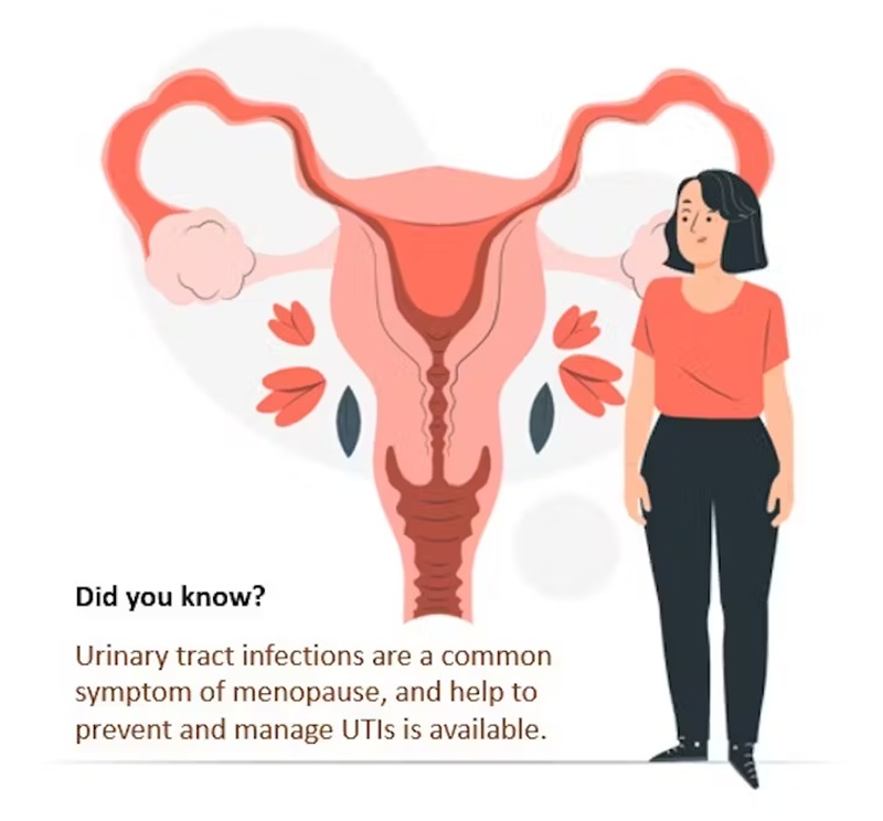 Preventing urinary tract infections after menopause: What every woman should know 1 urinary tract