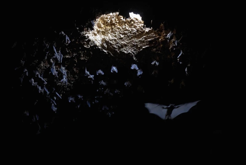 A 100,000-year-old burial site in Israel is changing what we know about early humans 1 we know about early humans 02