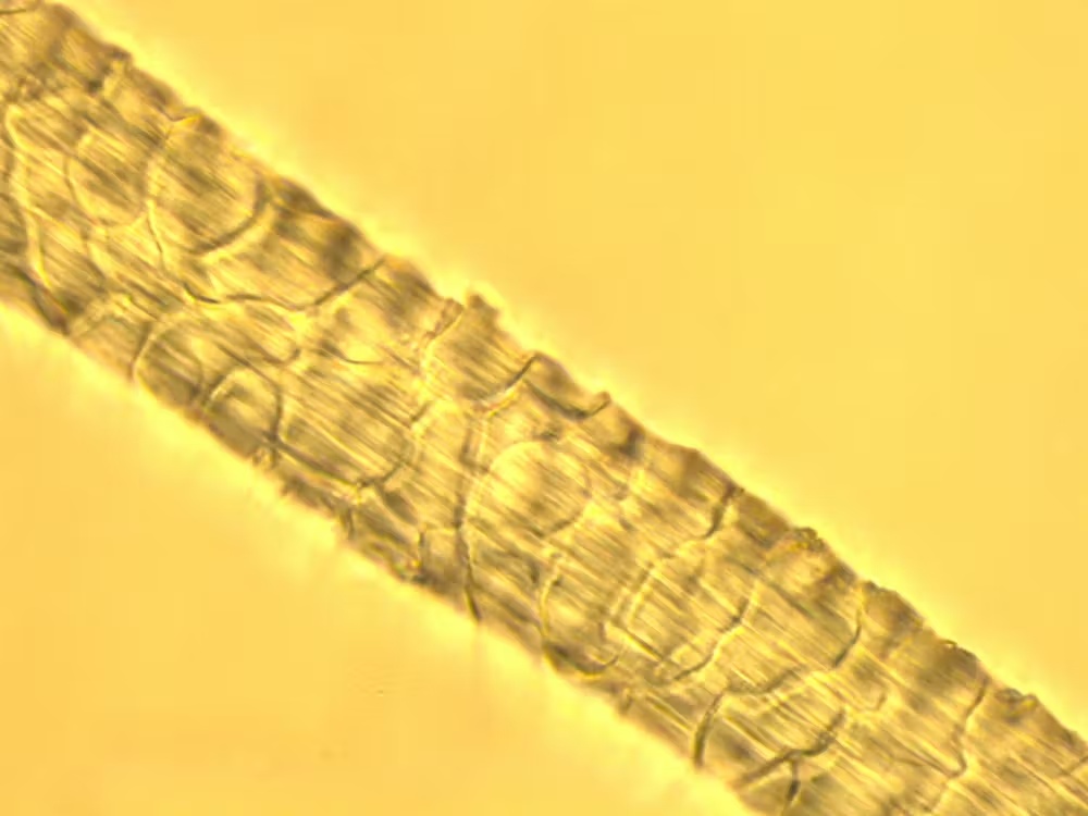 Why do some clothes shrink in the wash? A textile scientist explains how to ‘unshrink’ them 3 some clothes shrink 03