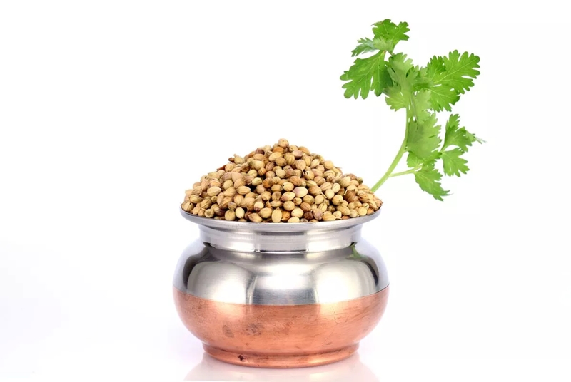 Slash cholesterol and blood pressure with coriander seeds 1 both the seeds and the plant