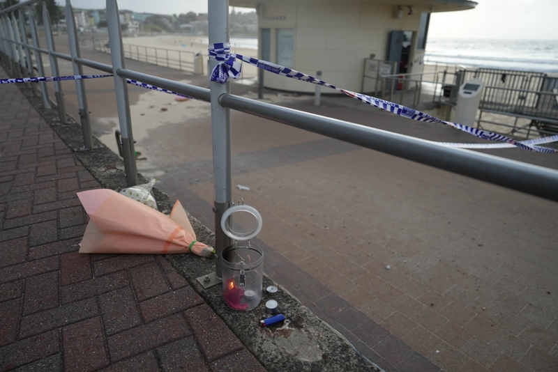 Father and son gunmen kill at least 15 people in attack on Hanukkah event at Sydney’s Bondi Beach 4 Father and son gunmen kill a